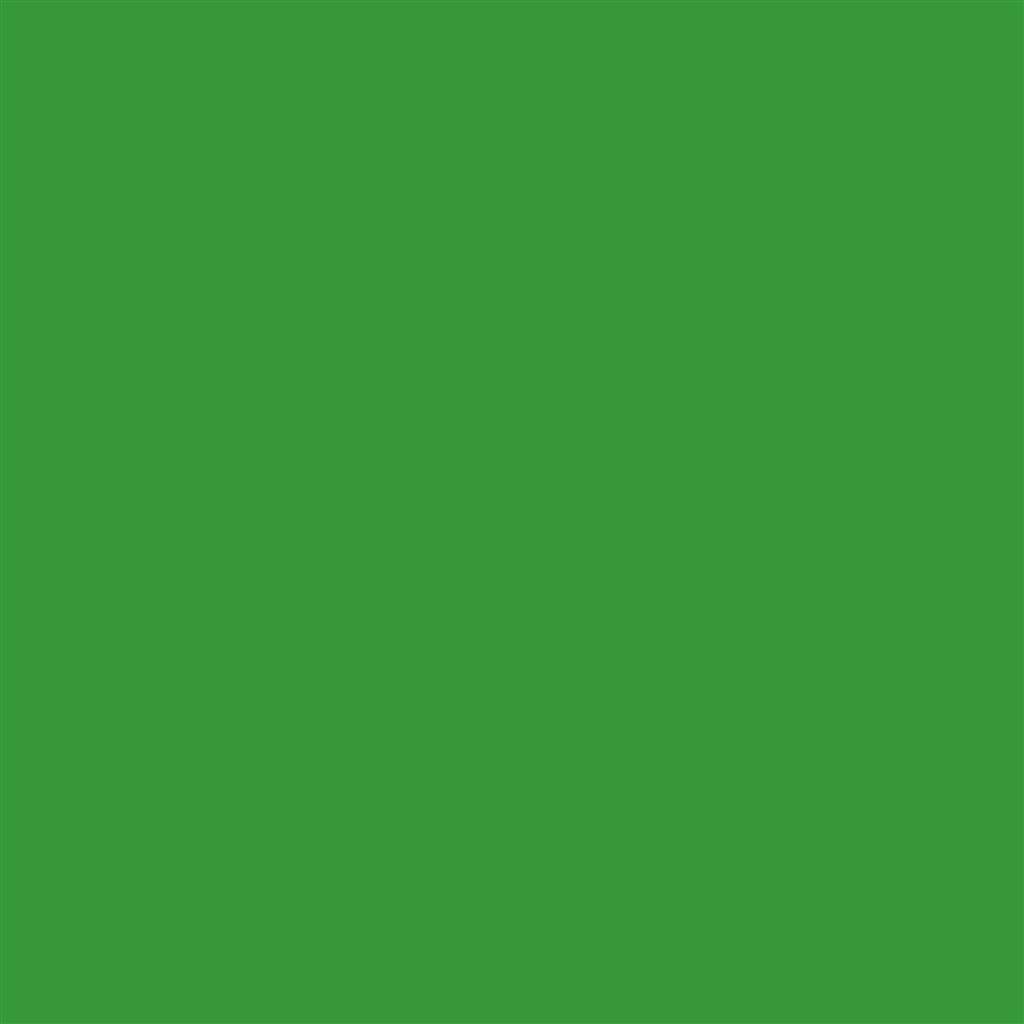 Paper Background 3,56x30m Tech Green