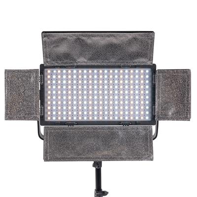 LED Dauerlicht DLP-2000