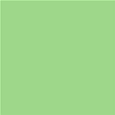 Papierhintergrund 2,72x11m Mint Green