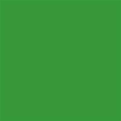 Paper Background 2,72x11m Tech Green